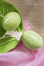 <p>Use a thin-tipped white paint pen to create the look of lettuce leaves’ veins upon green dyed eggs. Skillful artists (with steady hands) can even achieve a convincing <em>trompe l'oeil </em>effect using this method.</p>