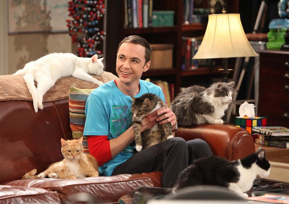 jim parsons as sheldon in a scene from the big bang theory, surrounded by five cats