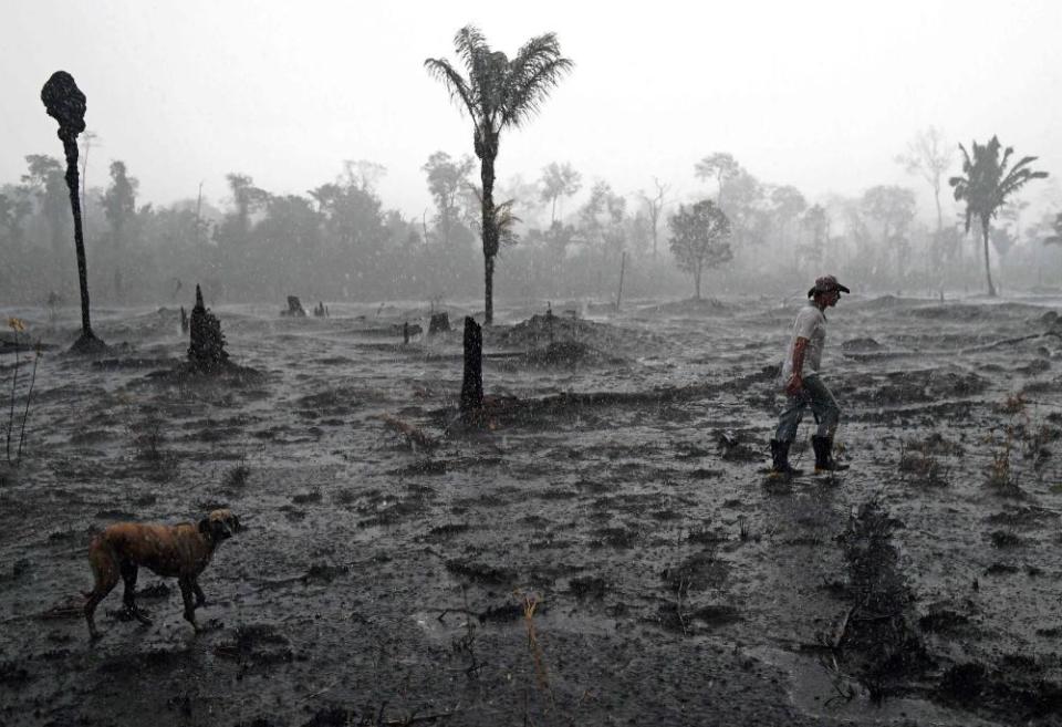 <span>Photograph: Carl de Souza/AFP</span>