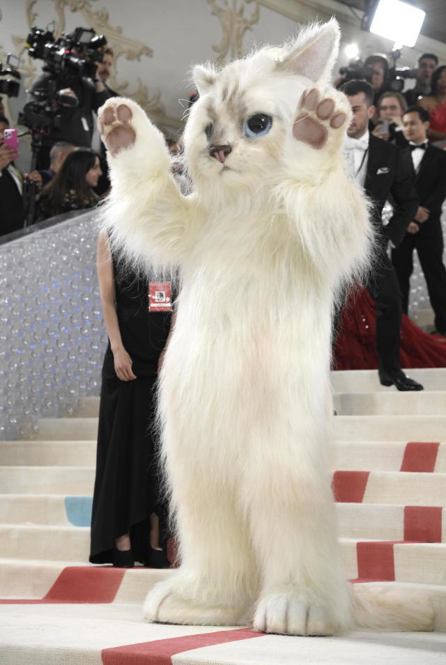 Choupette, Karl Lagerfeld's cat, responds to her Met Gala tributes