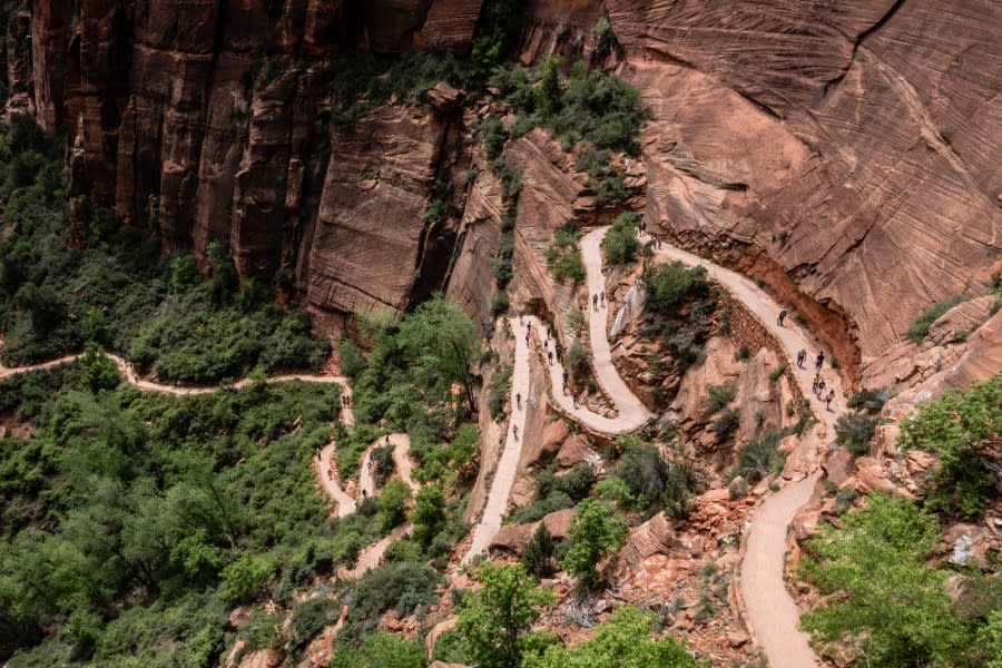 A portion of the Angels Landing trail at Zion National Park. (FILE | Adobe Stock)