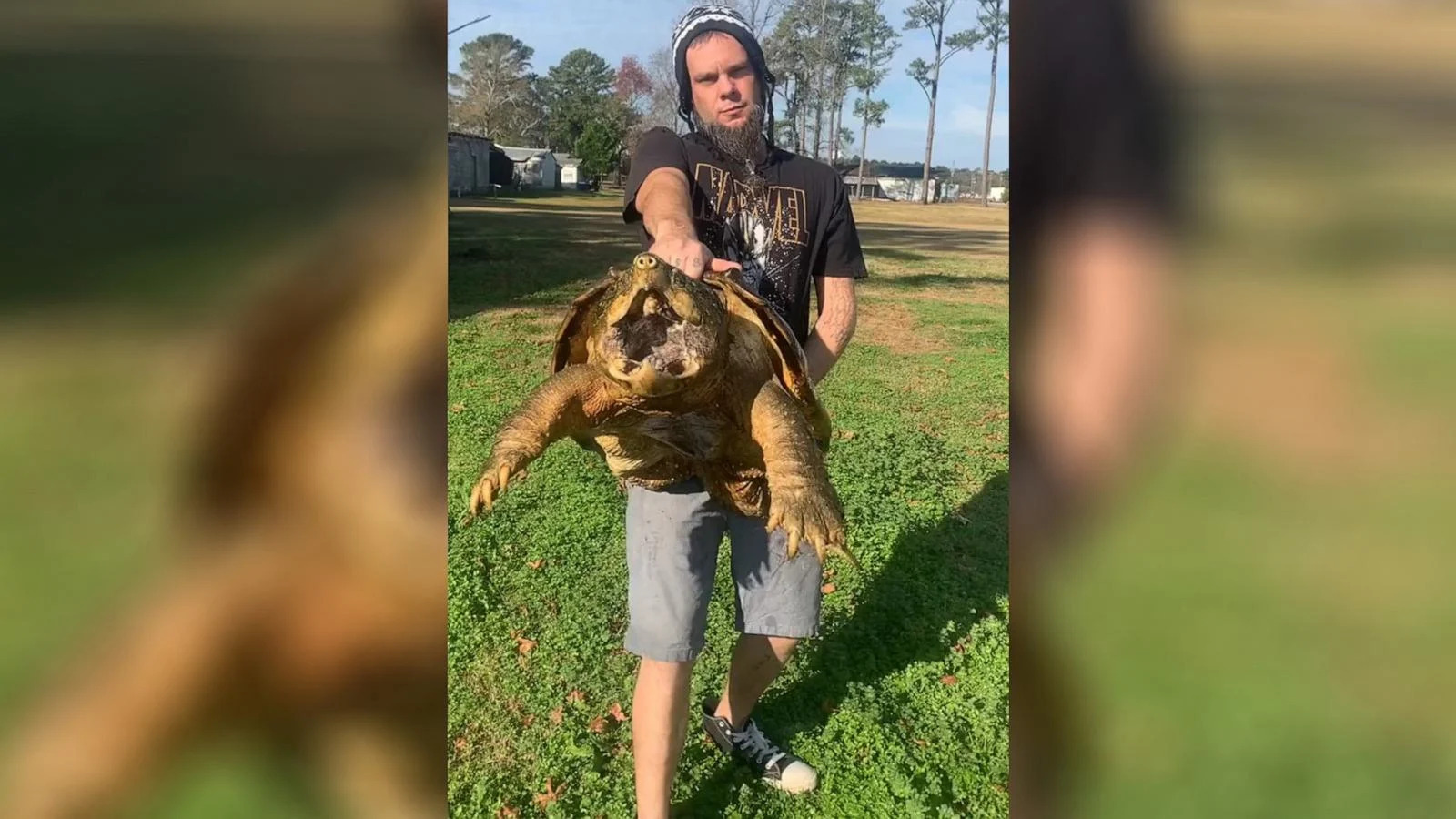 PHOTO: In a video posted to his TikTok account, Dan is seen holding his snapping turtle Galactus. (@turtlemandan910/TikTok)