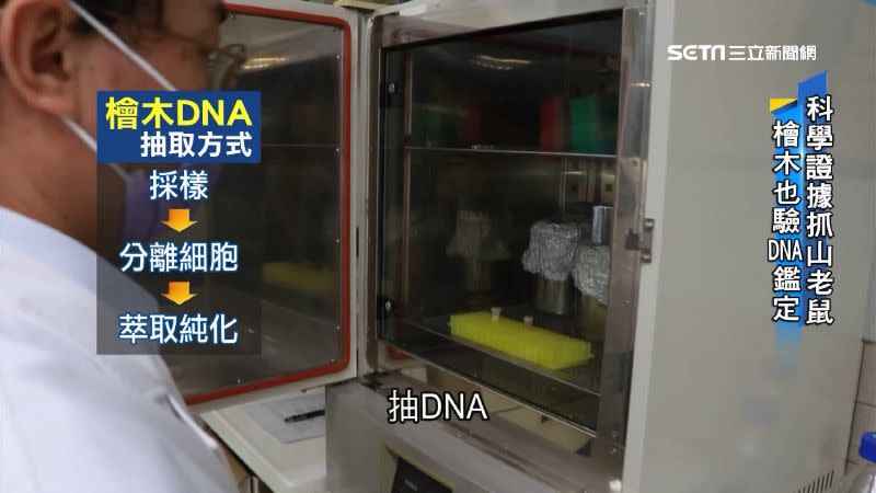 宜蘭檢方啟動檜木DNA鑑定，同時建置DNA檜木資料庫。