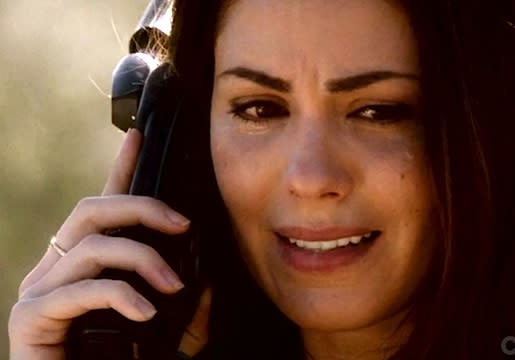 Hawaii Five-0 Catherine Leaves