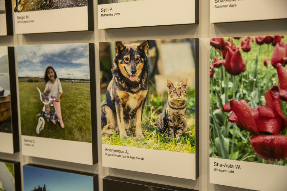 Many selections submitted and making the collection were of family pets. (Photo: Gordon Donovan/Yahoo News)