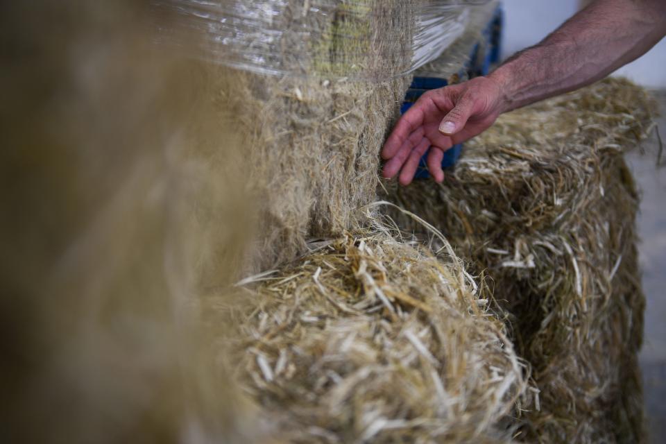 Vice President of South Dakota's Complete Hemp Processing Ken Meyer shows a bale of hemp strands after it has been processed during a tour of the first hemp fiber processing plant in Winfred, South Dakota on Friday, August 4, 2023.