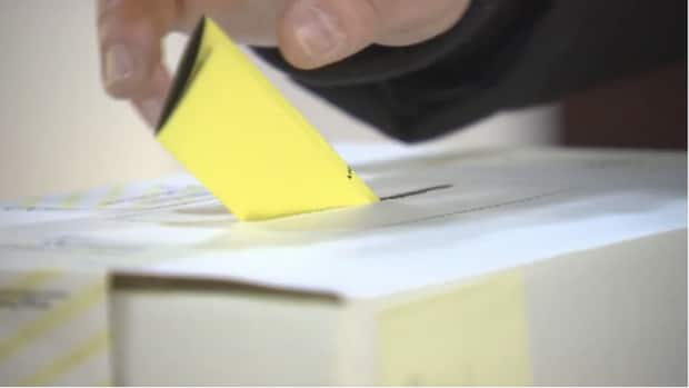 After the provincial election last winter and the federal election last week, communities across Newfoundland and Labrador are holding municipal elections on Tuesday. (CBC - image credit)