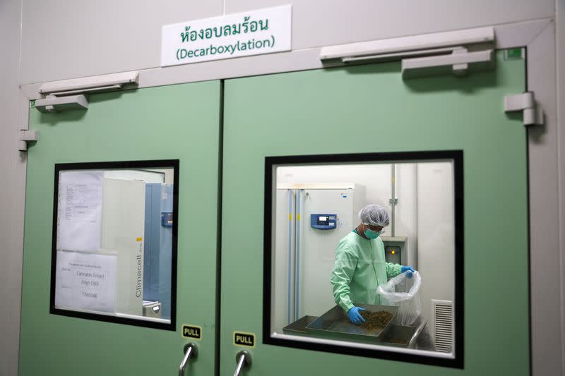 Production of cannabis-infused medicine at the Government Pharmaceutical Organization in Pathum Thani province