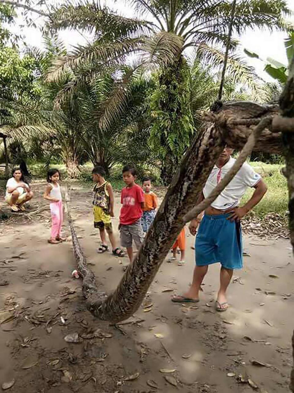 The victim of the python's attack is still recovering in hospital (AFP / Getty Images)