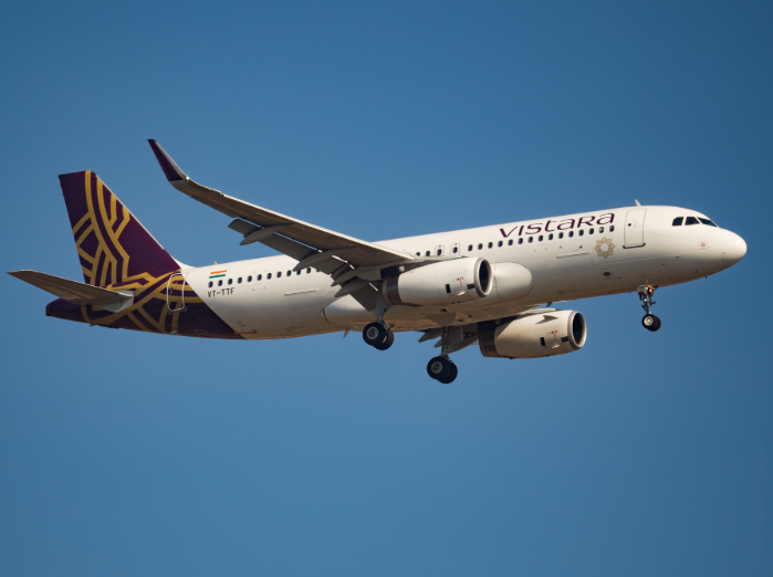 <p>The outbreak was traced to a Vistara flight</p> (Wikimedia/Venkat Mangudi)