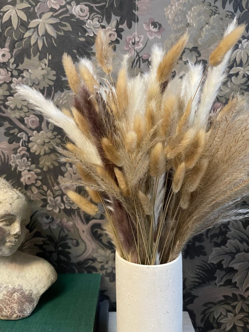 Dried pampas grass in vase.