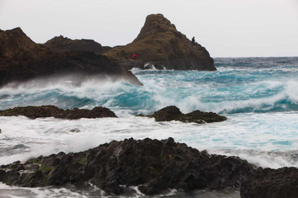 烏石鼻海岸是觀賞潮間帶海洋生物的極佳去處（圖片來源：台東觀光旅遊網）