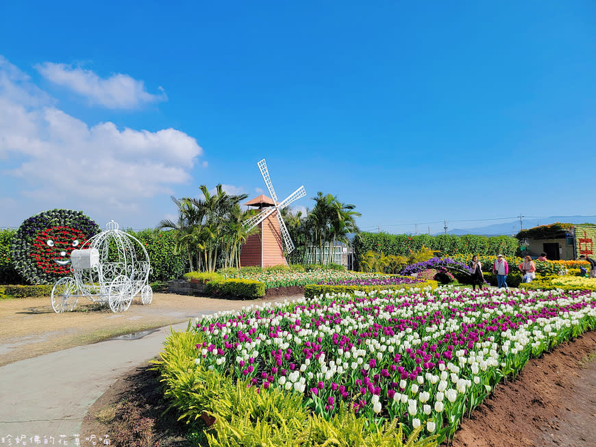 台中后里｜中社觀光花市