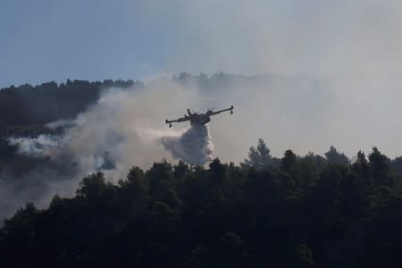 A firefighting plane makes a water drop as a wildfire burns near the village of Stavros on the island of Evia