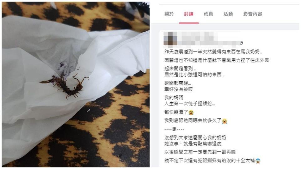 事後女網友表示隨手將異物捏爆一甩，開燈一看竟是蜈蚣。（圖／翻攝自爆怨2公社）