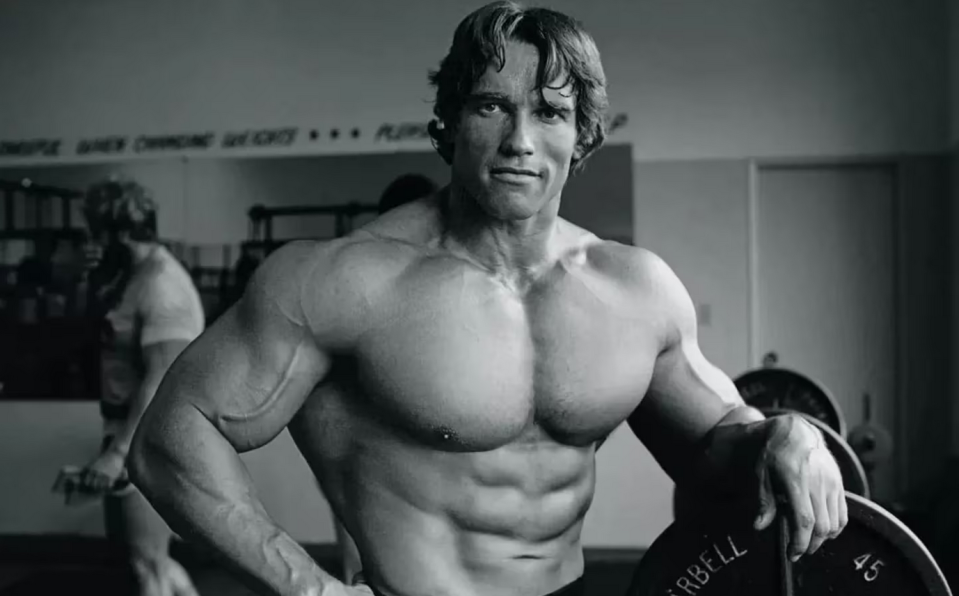 Arnold Schwarzenegger