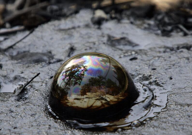 Methane gas bubbles up at the La Brea Tar Pits.