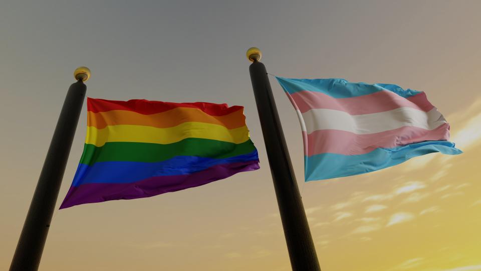 Flags of the trans  Pride Movement and of the Lesbian, Gay, Bisexual, Transgender and Queer Pride and Social Movements