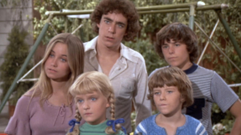 The Brady Bunch (The Brady Brood)