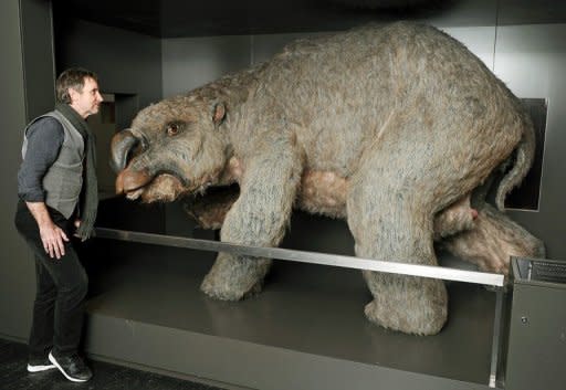 A reconstructed model of a "diprotodon", an ancient rhino-sized mega-wombat, is seen at the Australian Museum in Sydney on Thursday. Australian scientists Thursday unveiled the biggest-ever graveyard of diprotodons, with the site potentially holding valuable clues on the species' extinction. The remote fossil deposit in outback Queensland state is thought to contain up to 50 diprotodon skeletons