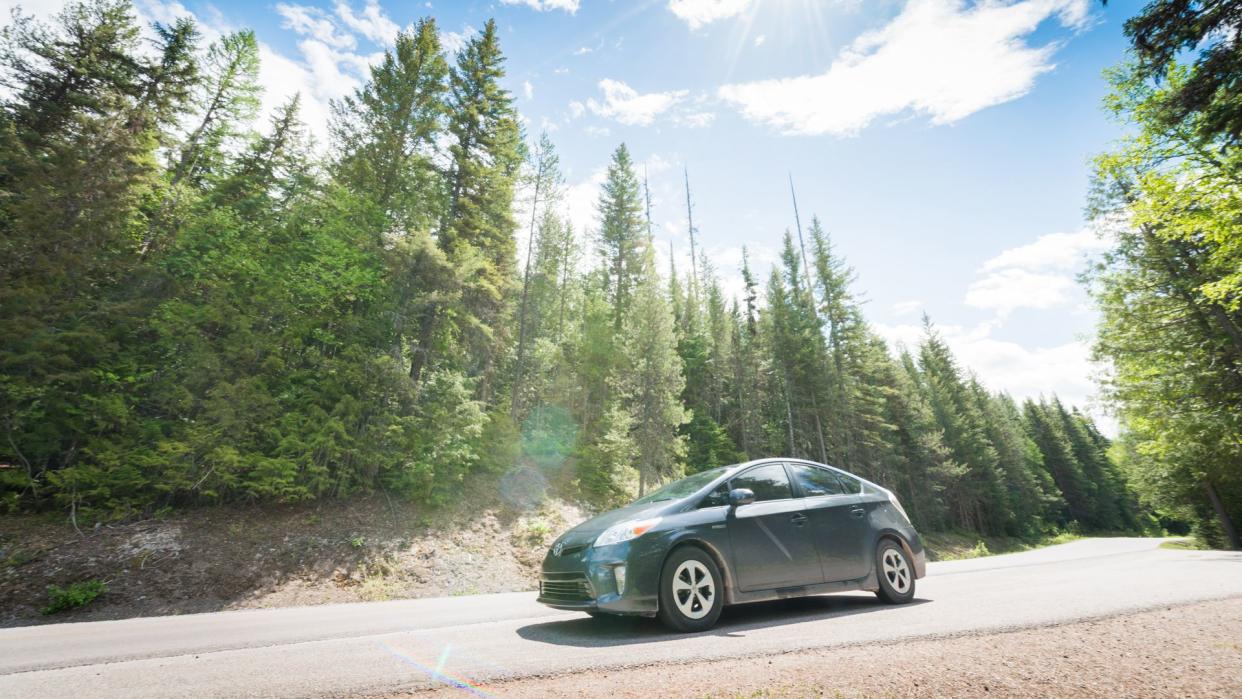 Glacier National Park, United States - May 11, 2016: On a sunny spring day a Toyota Prius hybrid car drives through a tree lined road in Montana while on a road trip.