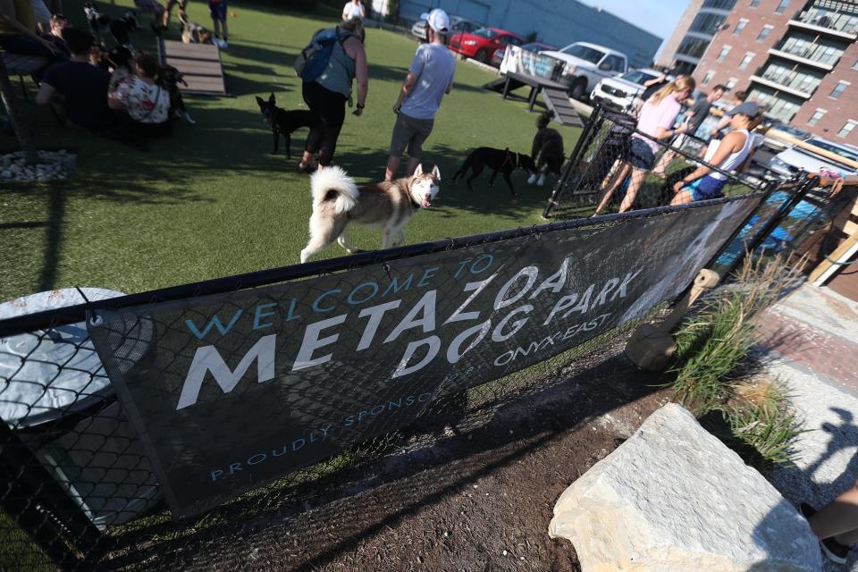 Dogs and owners enjoy Metazoa Brewing Company's remodeled dog park in Indianapolis on Thursday, June 27, 2019. 