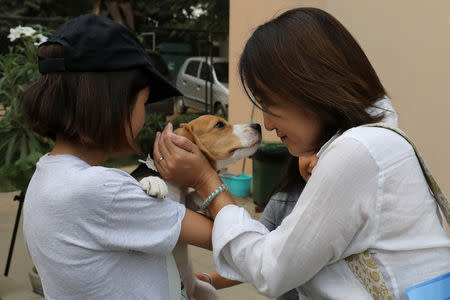 The owners pet their dog named "Cha Cha Maru", a Beagle breed, as they collect it from TopDog, a Luxury Pet Resort, in Gurugram, India, November 8, 2018. REUTERS/Anushree Fadnavis