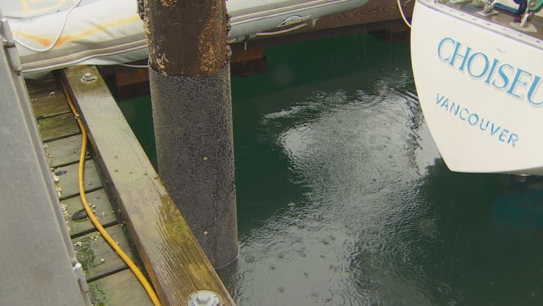 Herring saviours wrap toxic dock pilings to increase spawn