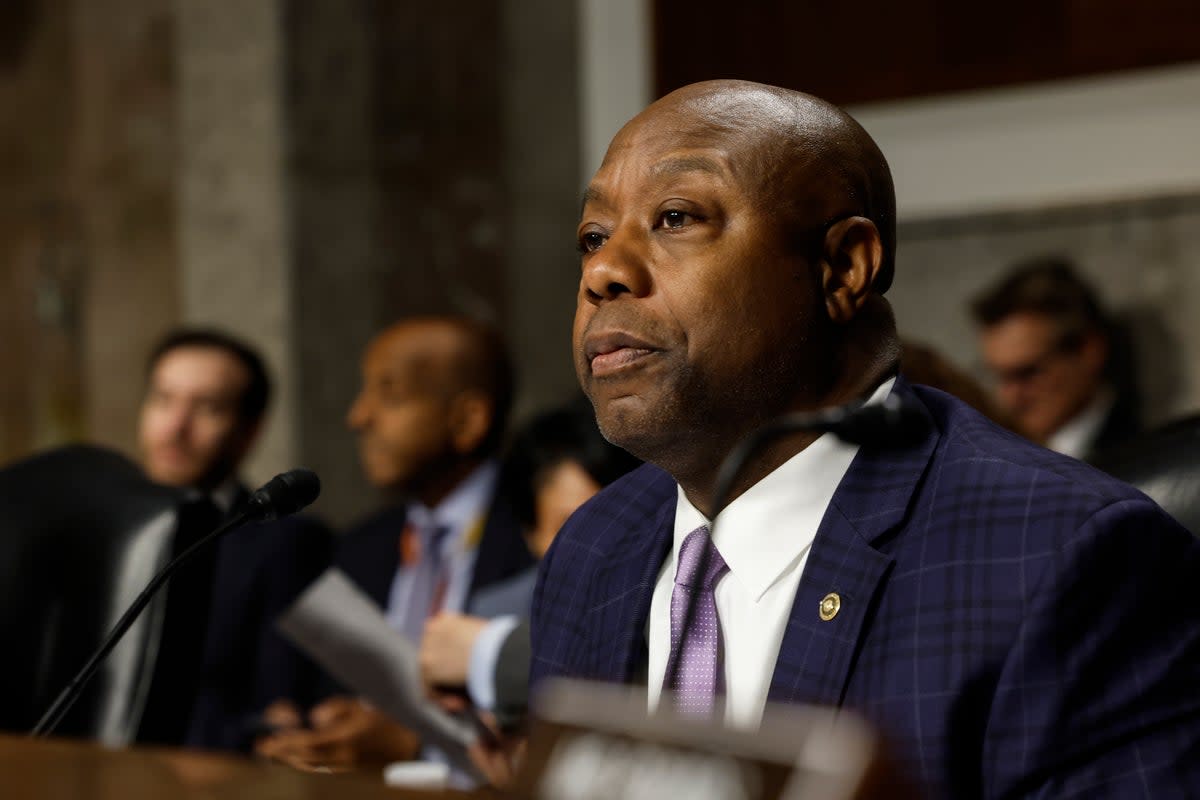 South Carolina senator Tim Scott can only envisage a Trump victory (Getty)