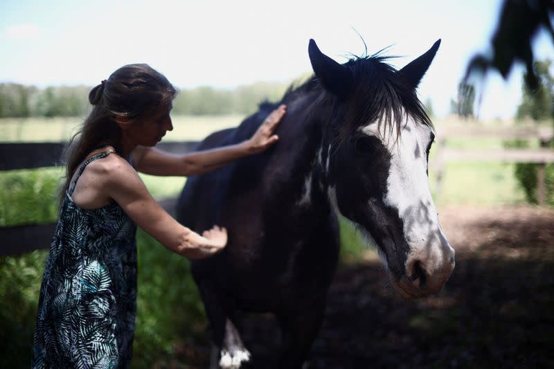 Argentinian woman gives mistreated horses second chance of life in a sanctuary