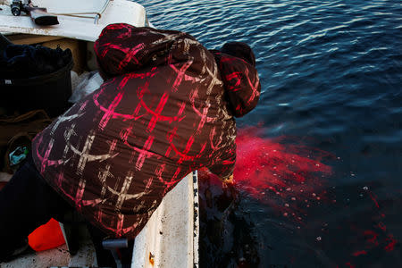 Seal hunter Henrik Josvasson reaches down to hook a seal he has just shot while hunting near the town of Tasiilaq, Greenland, June 16, 2018. REUTERS/Lucas Jackson