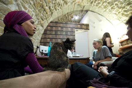 Customers enjoy a beverage next to a cat at the "Cafe des Chats" several days before the inauguration in Paris September 16, 2013. REUTERS/Gonzalo Fuentes