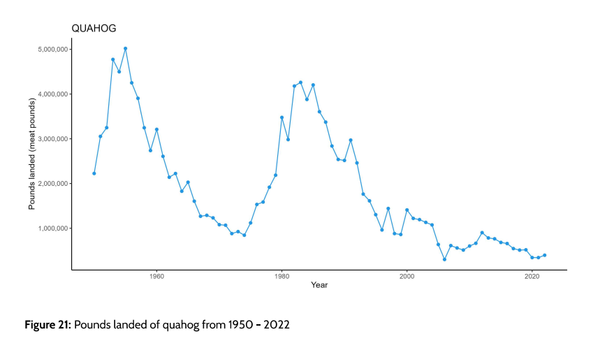 This graph shows the pounds of landed quahogs from 1950 to 2022 – with a marked decline since the 1980s boom in harvesting.