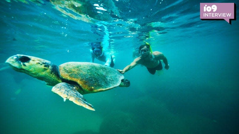 Two people swim behind a large sea turtle