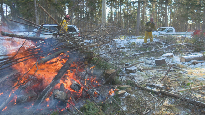 P.E.I. park crews fight fire risk with fire