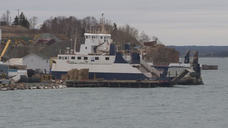 'Judgment error' left MV Gallipoli off the rails at Clarenville shipyard