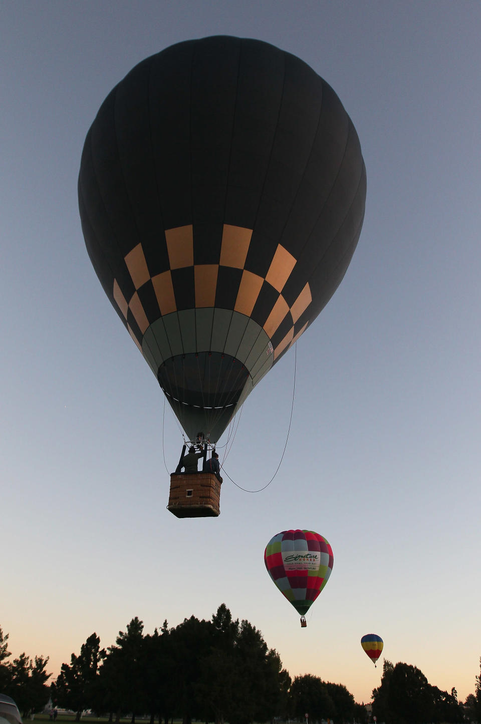 Balloons NZ