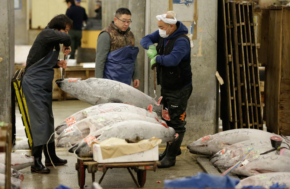 Bidding for tuna at Tsukiji