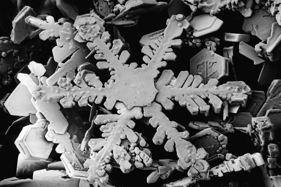 A snowflake at the microscopic level looks much like an ‘ordinary’ flake you might catch a glimpse of during a cold winter snowfall. (Photo courtesy of <a href="http://emu.arsusda.gov/snowsite/default.html" rel="nofollow noopener" target="_blank" data-ylk="slk:emu.arsusda.gov;elm:context_link;itc:0;sec:content-canvas" class="link ">emu.arsusda.gov</a>)