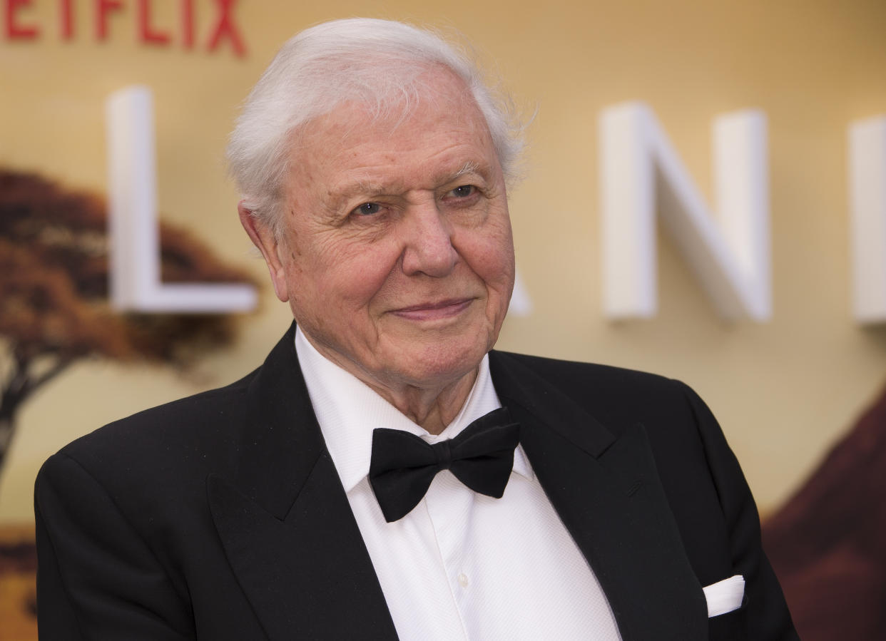 Sir David Attenborough poses for photographers upon arrival for the premiere of a new series of Our Planet, at the Natural History Museum in central London, Tuesday, April 4, 2019. (Photo by Joel C Ryan/Invision/AP)