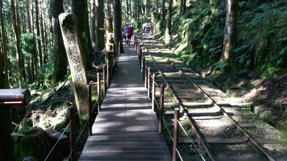 太平山茂興森林步道。 （中華旅行社提供）