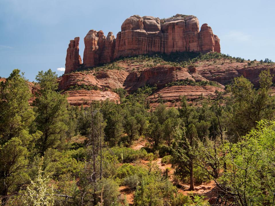 coconino national forest