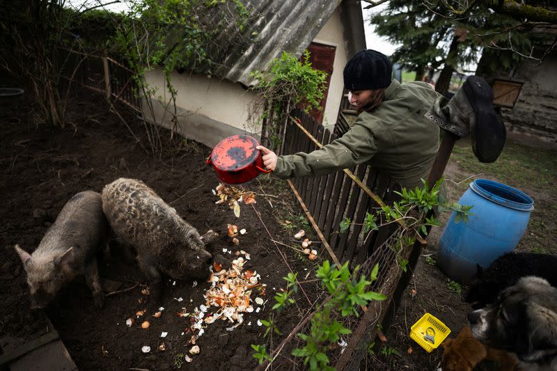 The Wider Image: Sustainable living offers hope for future for Hungarian families