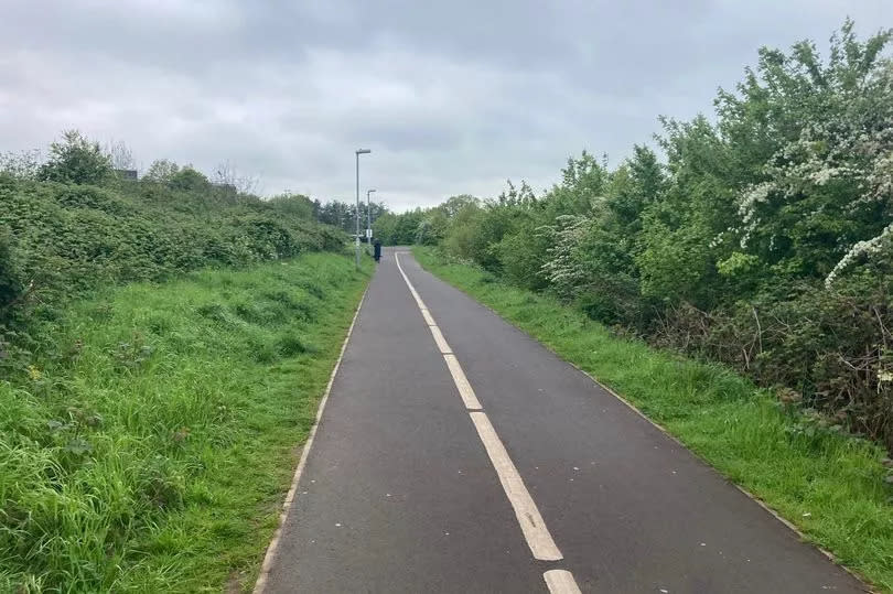 Cycle route at the southern edge of Longrun Meadow in Taunton