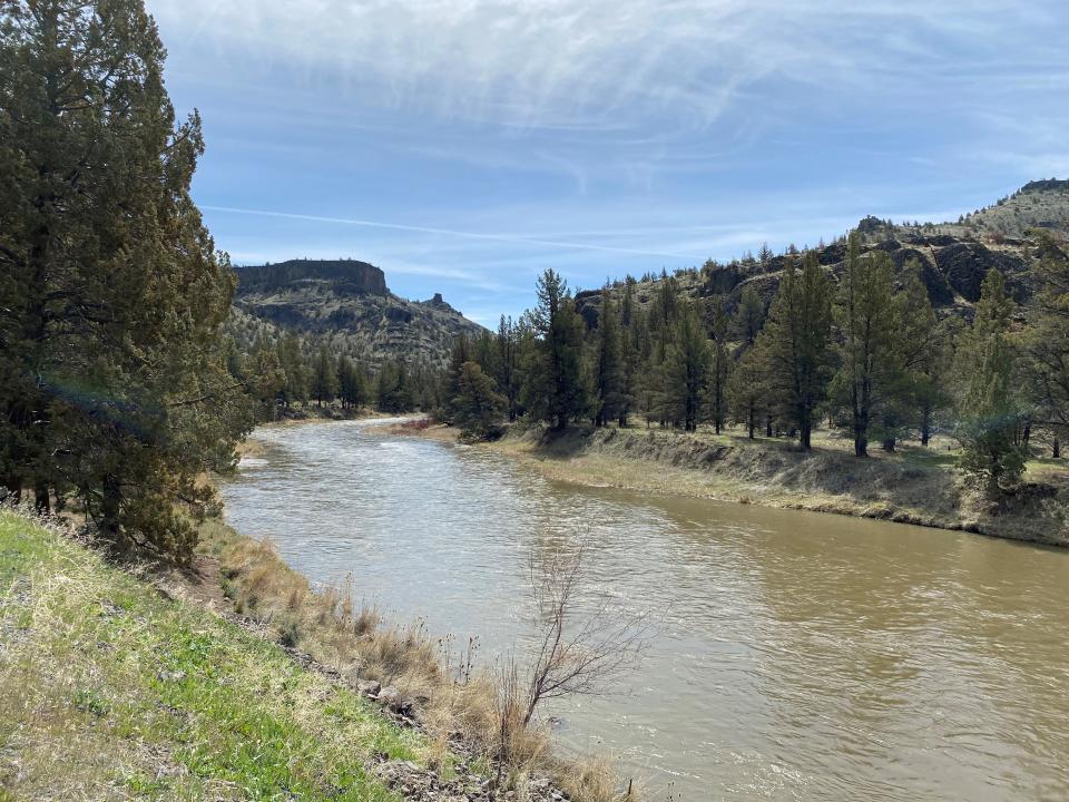 An expedited snowmelt brought high, off-color water to  the Crooked River earlier this spring.