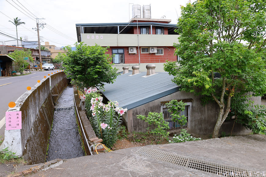 新北淡水｜奎柔山路百合花園