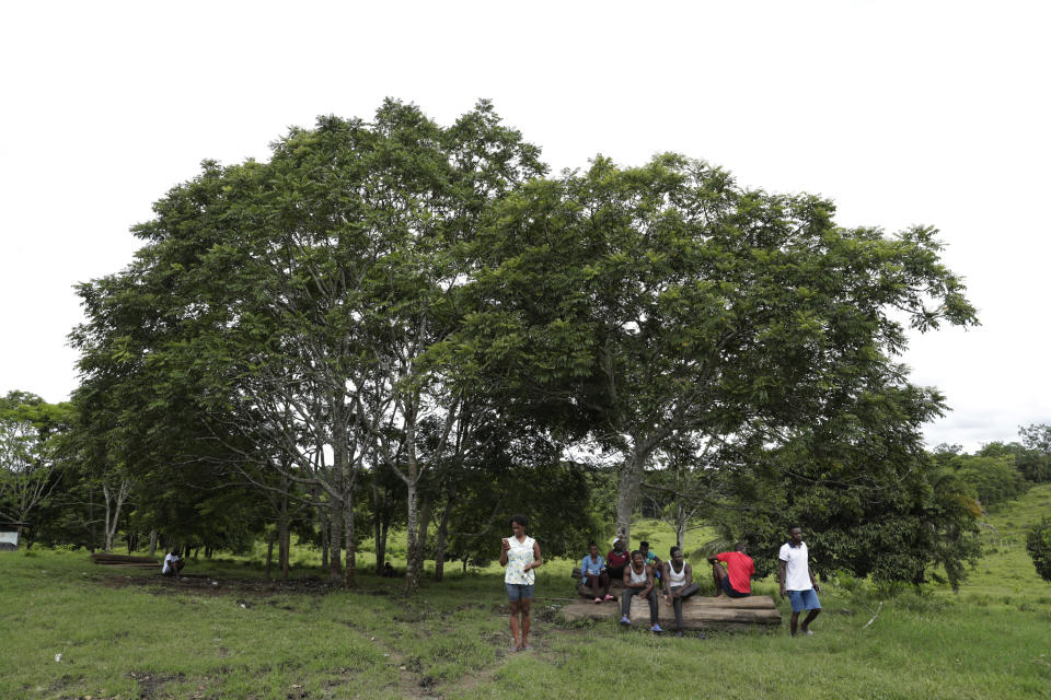 Migrants gather under trees at a migrant camp amid the new coronavirus pandemic in Lajas Blancas, Darien Province, Panama, Saturday, Aug. 29, 2020. Nearly 2,000 migrants from Haiti and a handful of African and Asian countries are stuck in camps in the jungle along Panama's northern and southern borders because the new coronavirus pandemic has forced a halt on migration. (AP Photo/Arnulfo Franco)