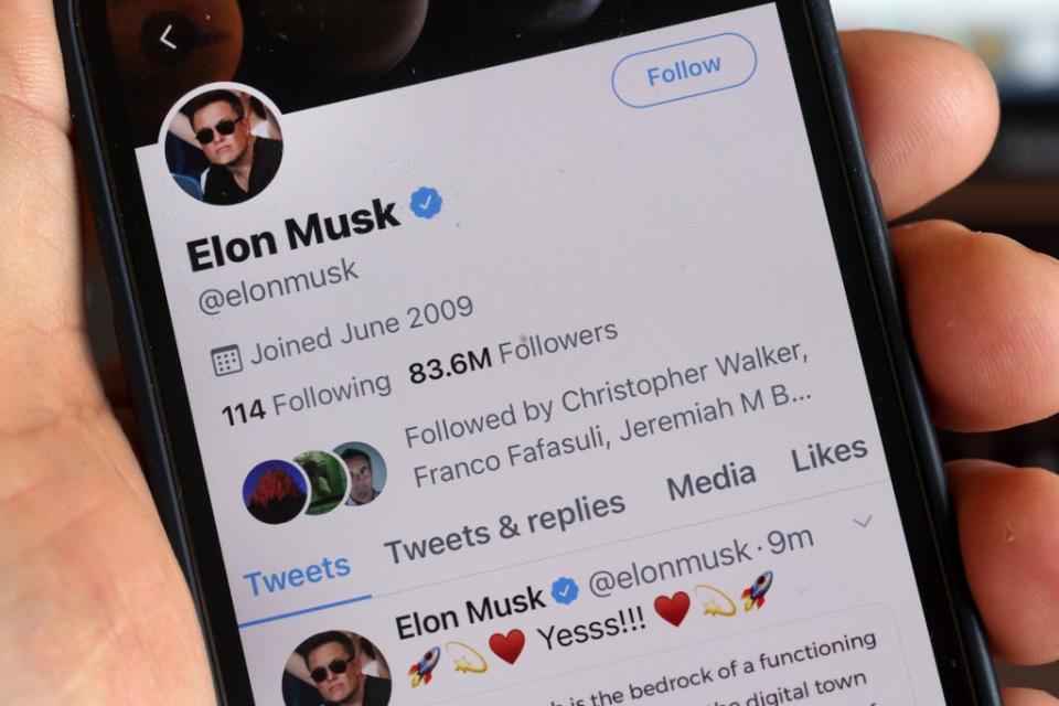 Musk has more than 80 million followers on Twitter (Getty Images)