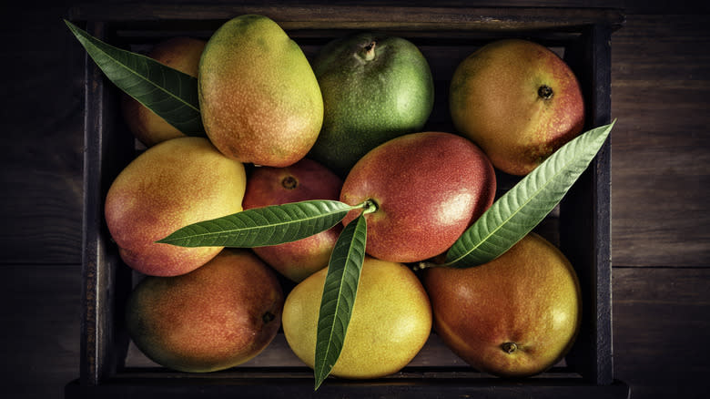 assorted mangoes