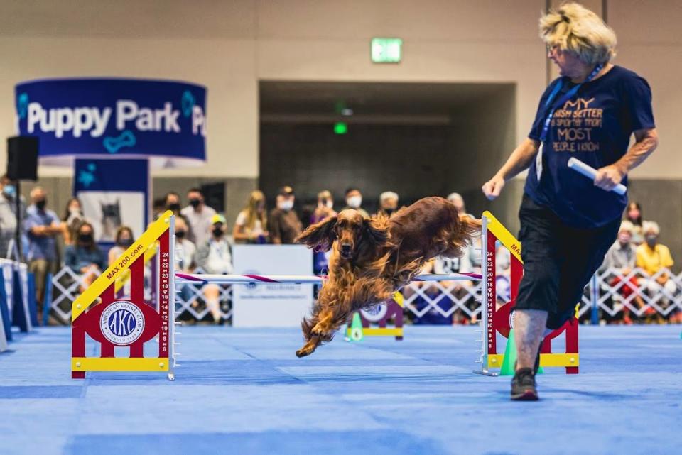 A photo from a previous Meet the Breeds event in San Diego, California.